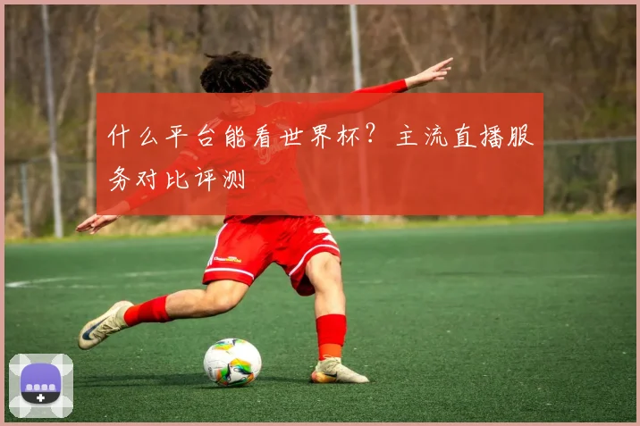 什么平台能看世界杯？主流直播服务对比评测