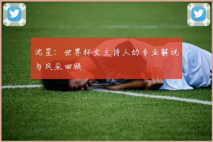 沈星：世界杯女主持人的专业解说与风采回顾