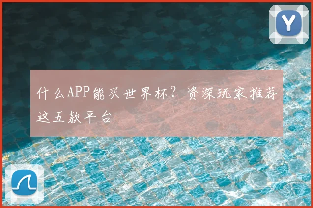 什么APP能买世界杯?资深玩家推荐这五款平台