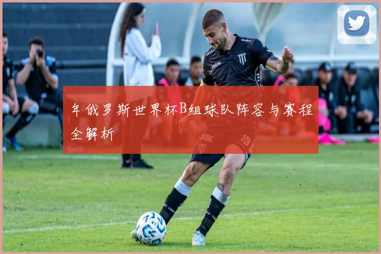 年俄罗斯世界杯B组球队阵容与赛程全解析
