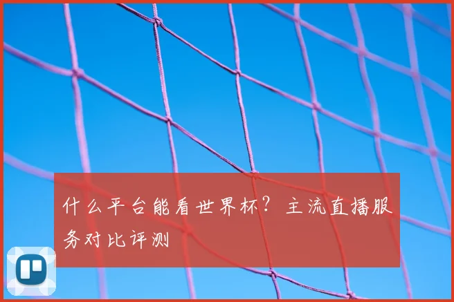 什么平台能看世界杯？主流直播服务对比评测