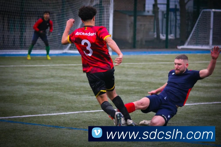 9游会官网入口APP 高清赛事图